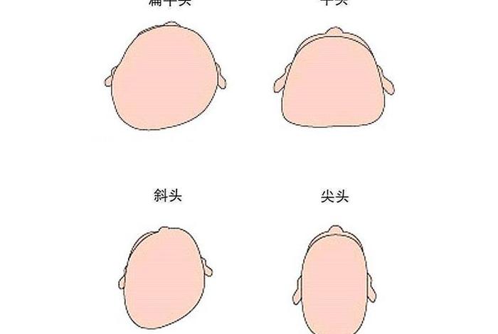 扁头是哪个朝代(扁头的由来) 扁头是哪个朝代(扁头的由来)