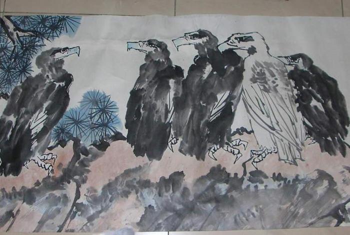 中国鹰鸽名人录,中国鹰鸽两派 中国鹰鸽名人录,中国鹰鸽两派