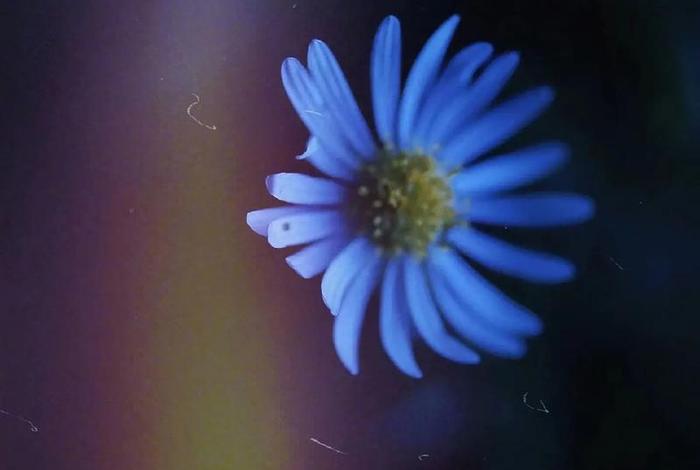 人因执念而死(执念深的人死后会去哪) 人因执念而死(执念深的人死后会去哪)