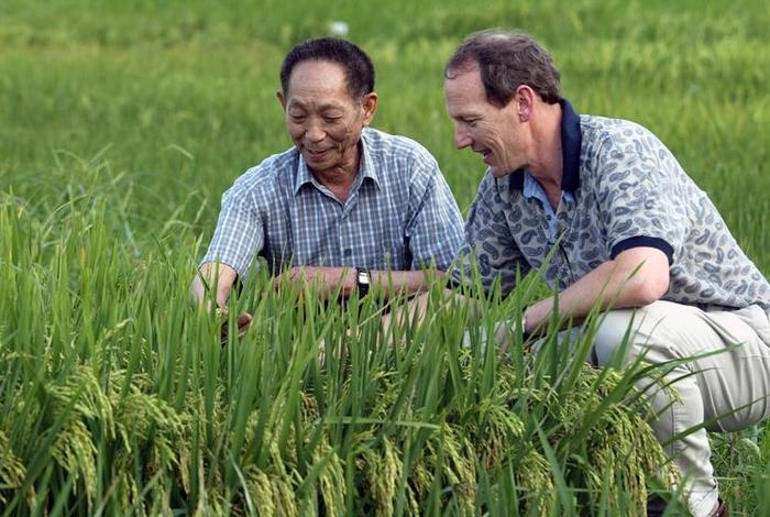 袁隆平算历史人物吗英语、袁隆平算历史人物吗英语作文 袁隆平算历史人物吗英语、袁隆平算历史人物吗英语作文