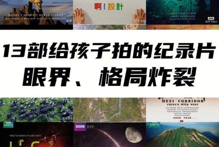 国外人物纪录片 - 国外人物纪录片研究现状 国外人物纪录片 - 国外人物纪录片研究现状