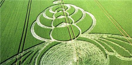 麦田怪圈-揭秘中国第一个麦田怪圈隐藏着怎样的秘密? 麦田怪圈-揭秘中国第一个麦田怪圈隐藏着怎样的秘密?