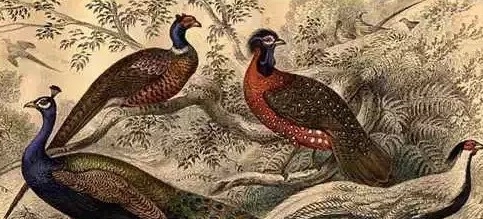 古人如何配制春药的? 古人如何配制春药的?