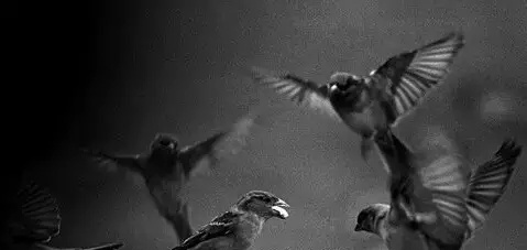 古人如何配制春药的? 古人如何配制春药的?