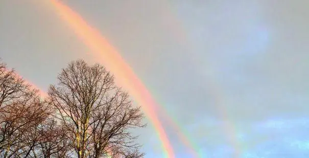 彩虹的七种正确颜色