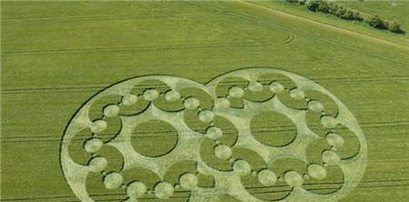 麦田怪圈-揭秘中国第一个麦田怪圈隐藏着怎样的秘密? 麦田怪圈-揭秘中国第一个麦田怪圈隐藏着怎样的秘密?