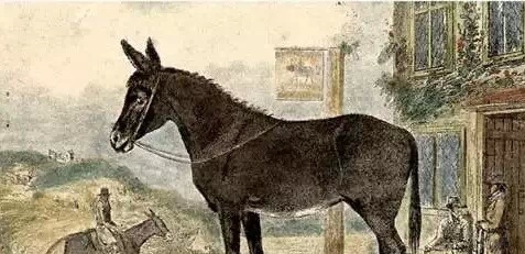 古人如何配制春药的? 古人如何配制春药的?