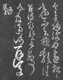 张芝-张芝 张芝-张芝