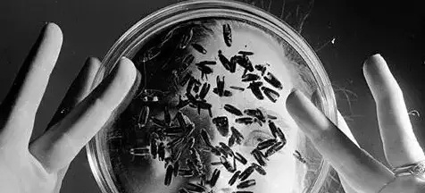 古人如何配制春药的? 古人如何配制春药的?