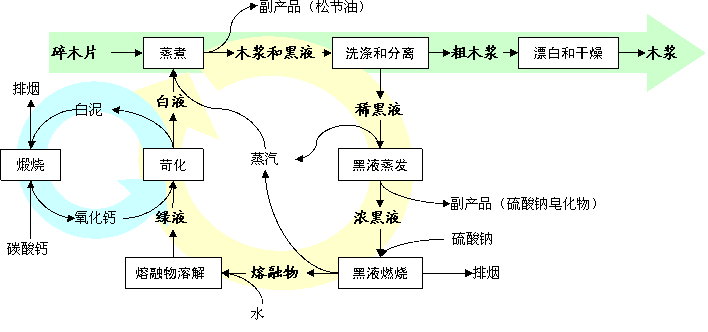 环境污染-木浆