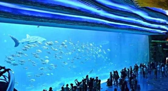 世界上最大的水族馆——珠海长隆海洋王国