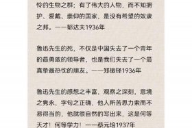 中外名人对中国的评价；中外名人对新中国的评价
