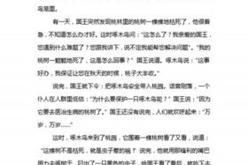 关于国王故事（关于国王故事的名字）