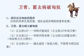 卫青霍去病历史典故（卫青霍去病的典故）