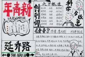 历史小报报纸（历史小报报纸形式）