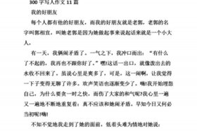 印象中最深刻的人、印象中最深刻的人作文800字