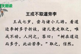 王戎是历史人物故事吗 - 王戎是谁的资料