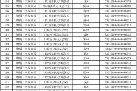 中国身份证姓名 中国身份证姓名号码认证