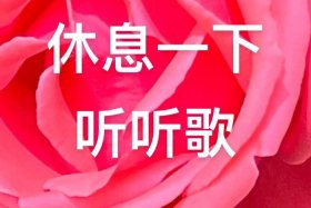 自娱自乐的原创作者 自娱自乐ing