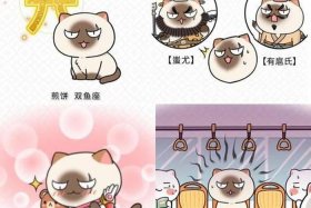 十二星座对应的历史人物（十二星座对应的历史人物图片）