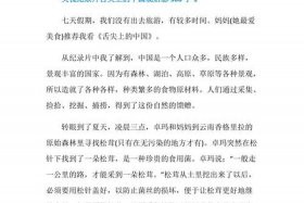 纪录片中国新年；纪录片中国新年观后感