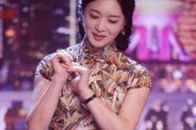 金星的个人历史（金星本人简历）