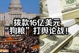 中国舆论战的人物 - 舆论战例子