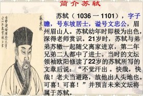 历史人物苏轼简介；苏轼人物生平简介