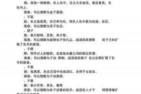 中国历史上有字的人物名字（历史著名人物的字中带子字）