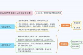 乡土中国人物分析简介；乡土中国主要人物