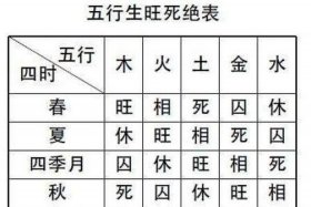 历史五行属性是什么（历史学科的五行属性）