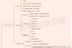 中国历史人物思维导图手抄报 - 中国历史人物故事思维导图简单又漂亮