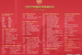 2011中国经济年度人物；2011年中国经济情况