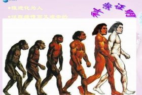 不同历史时期人与自然的关系 人与自然关系历史演变过程