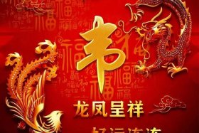 中国历史姓韦的家族排在多少；韦姓排第几位
