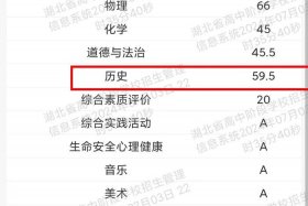 中考历史占分比例（中考历史分数占比）