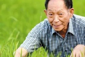 18世纪中国有哪些名人、18世纪的中国伟人