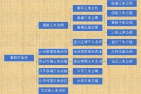 明朝王通族谱，明代王同