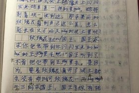 国王的故事作文 - 国王的故事作文三年级