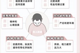 中国脱发的人占百分之多少（中国人脱发率）