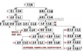 历史上司马家族中谁比较厉害；司马家族人员