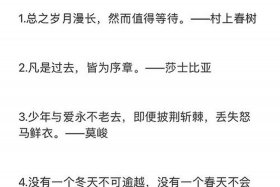 外国名人怎么评价中国，外国人评价中国的名言