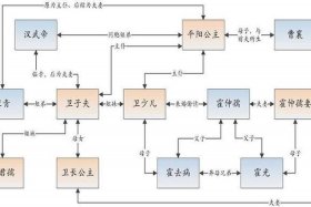 卫青霍去病霍光什么关系、卫青霍去病霍光的关系