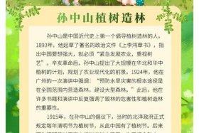 明星讲述历史人物故事（明星故事素材）
