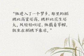 袁隆平人物事迹简短、袁隆平人物事迹简短300字