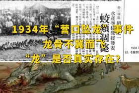 1934年中国历史事件，1934年历史事件真相