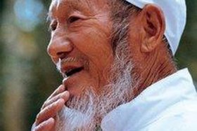 中国历史回族人物，中国回族名人