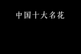 列举中国十大名花 中国的十大名花