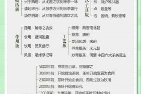 茶道历史起源、茶道的起源是哪个地方