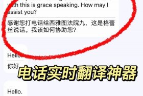 国内外的人翻译；外国人民翻译